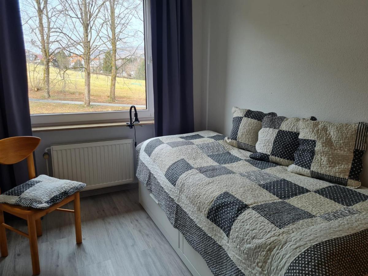 Grosse Wohnung - Kamin - Balkon - Boxspringbett - Skiwiese Braunlage Exterior photo